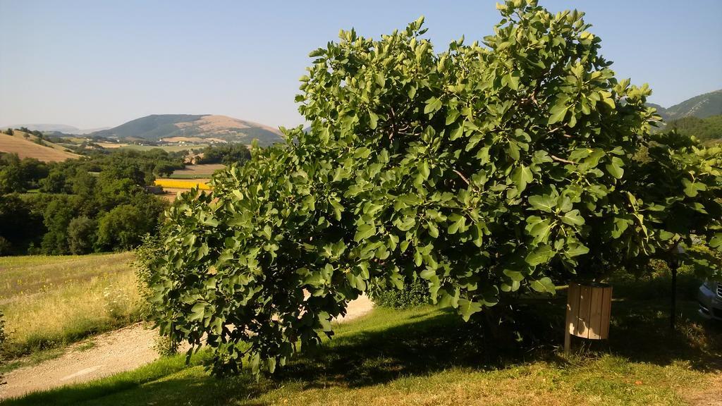 Le Calvie,